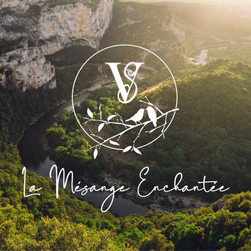 Graphiste Lyon Villefranche sur saone Logo